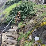 Goldstueck Wohnen Im Weinberg 펜션 Pommern