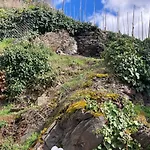 펜션 Goldstueck Wohnen Im Weinberg *