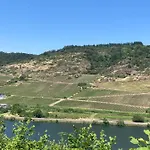 Goldstück Wohnen Im Weinberg Ferienhaus