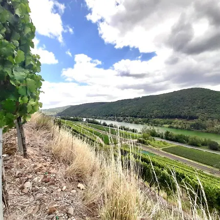 Goldstueck Wohnen Im Weinberg * Pommern
