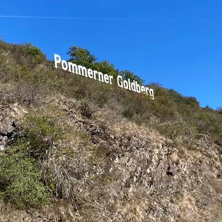 Goldstueck Wohnen Im Weinberg 펜션 *