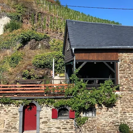 別荘 Goldstueck Wohnen Im Weinberg