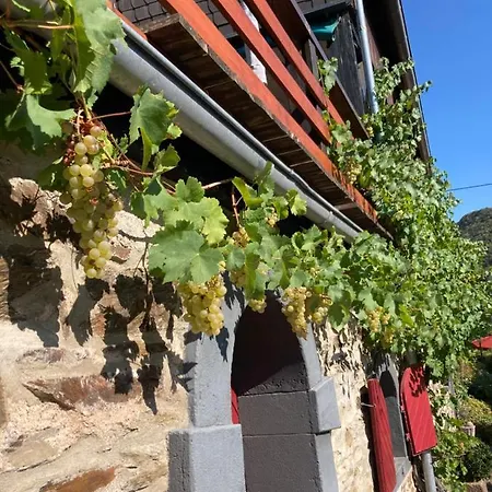 Goldstueck Wohnen Im Weinberg 펜션 *