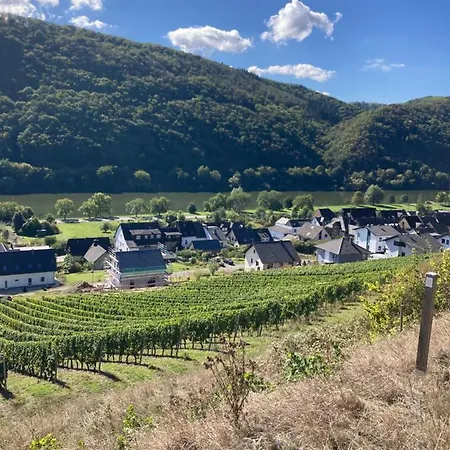 Goldstueck Wohnen Im Weinberg * Pommern