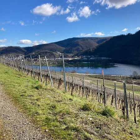 別荘 Goldstueck Wohnen Im Weinberg *