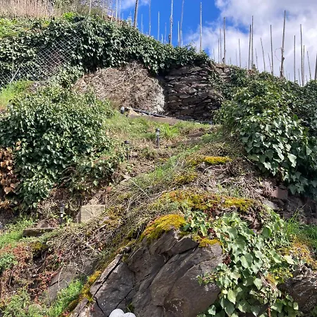 別荘 Goldstueck Wohnen Im Weinberg *