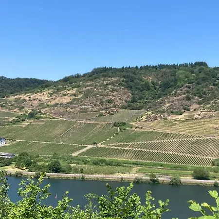 Goldstück Wohnen Im Weinberg Ferienhaus