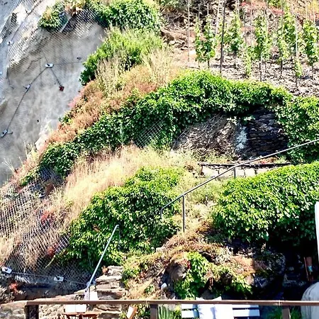 Goldstueck Wohnen Im Weinberg