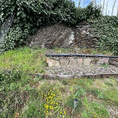 別荘 Goldstueck Wohnen Im Weinberg Pommern