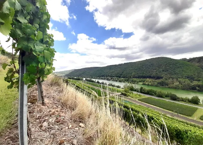 Goldstueck Wohnen Im Weinberg * Pommern