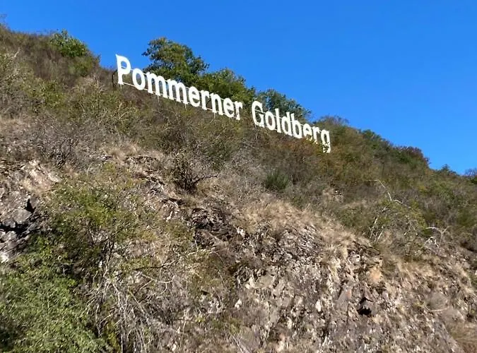 Goldstueck Wohnen Im Weinberg Vakantiehuis *