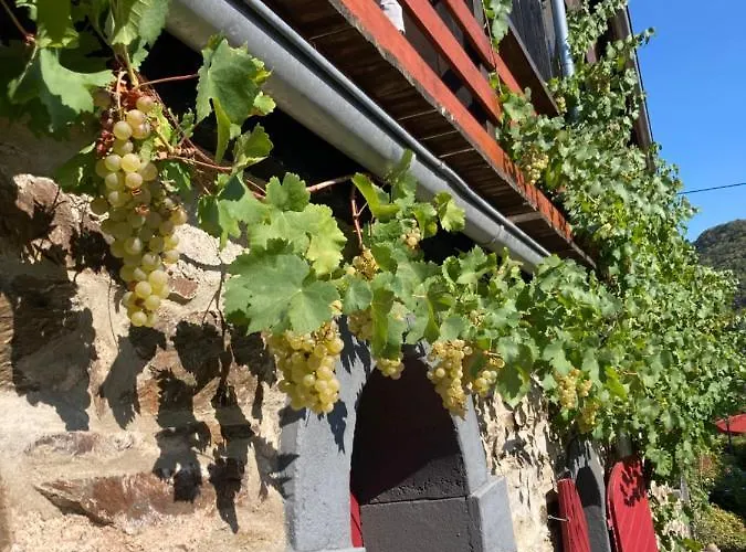 Goldstueck Wohnen Im Weinberg Vakantiehuis *