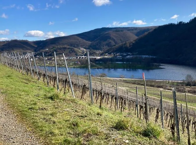 Vakantiehuis Goldstueck Wohnen Im Weinberg *
