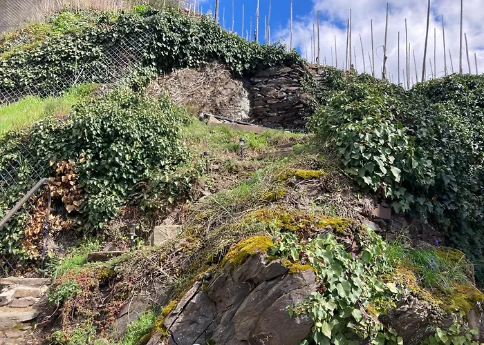 Vakantiehuis Goldstueck Wohnen Im Weinberg *
