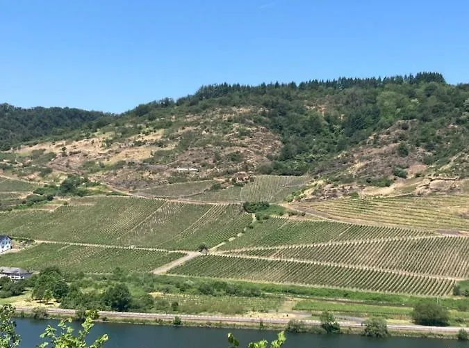 Goldstueck Wohnen Im Weinberg Casa de Férias