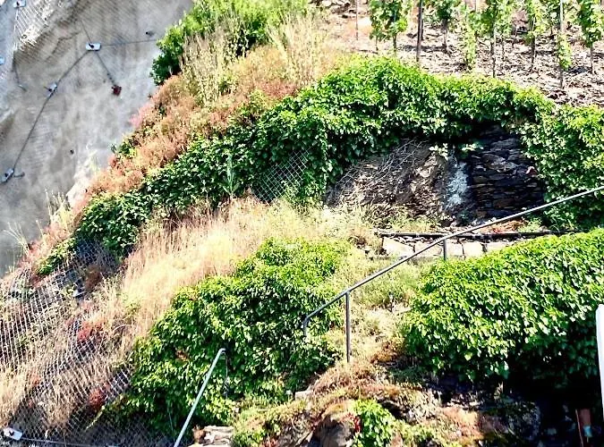 Goldstueck Wohnen Im Weinberg